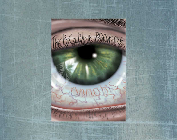 The Big Blue Book of Cannabis (2006)